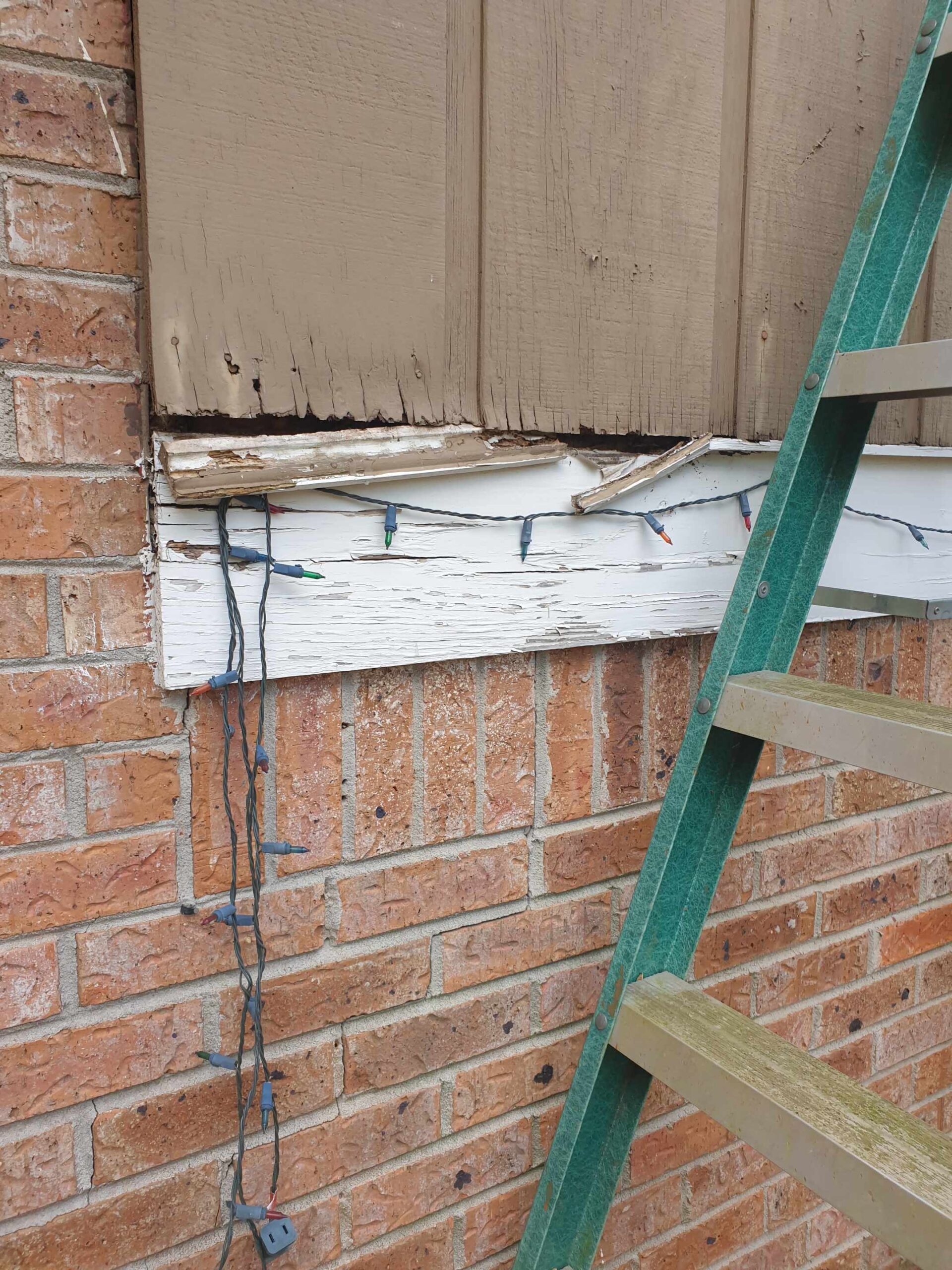 Phoebe C Homeowner Repair