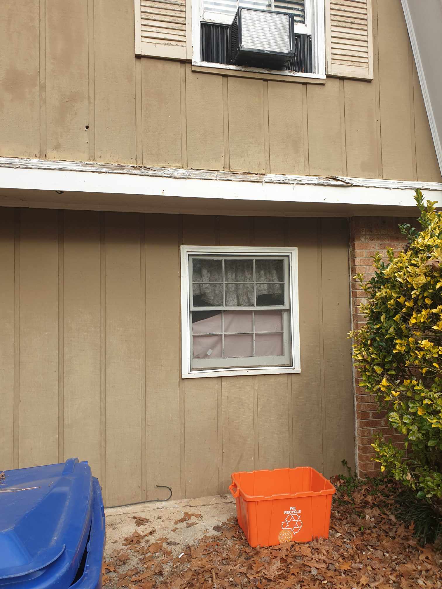 Phoebe C Homeowner Repair